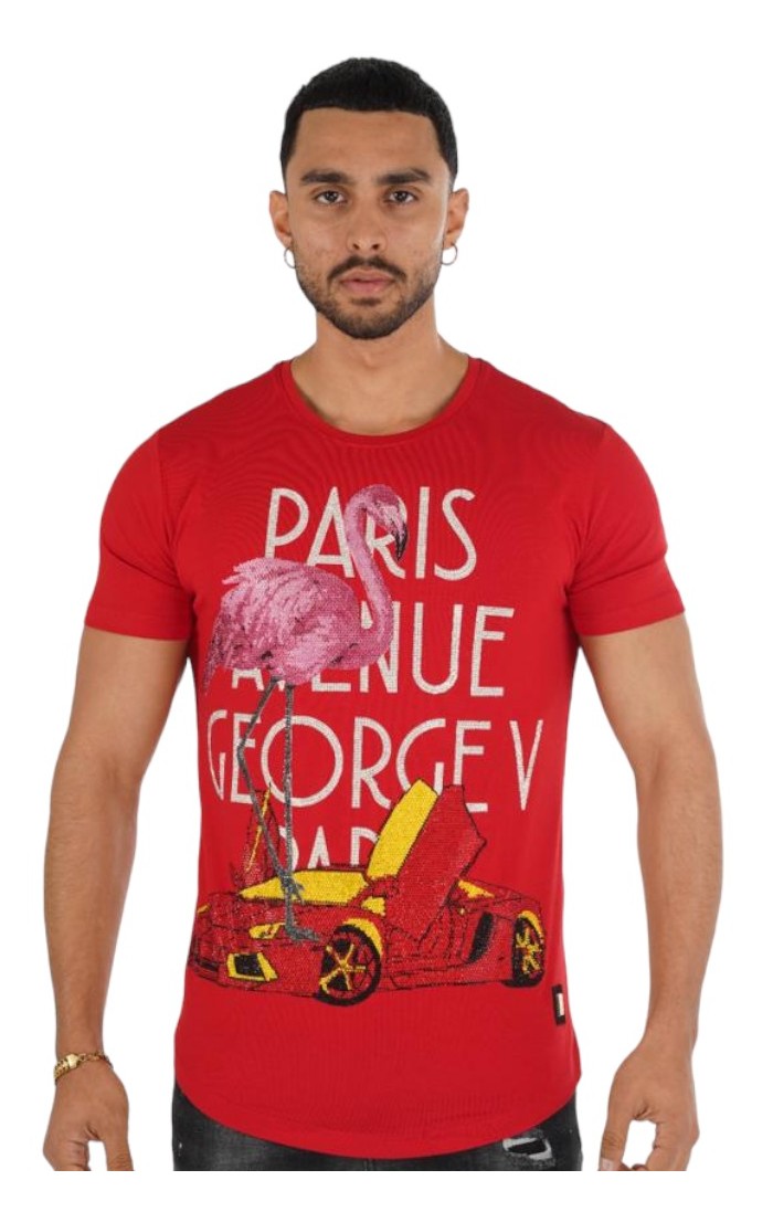 Camiseta George V Paris Ferrari Flamenco Vermelho