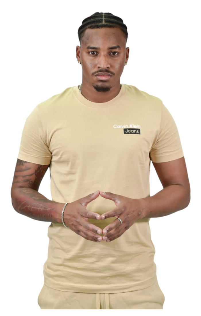 T-shirt Calvin Klein avec le logo avant beige
